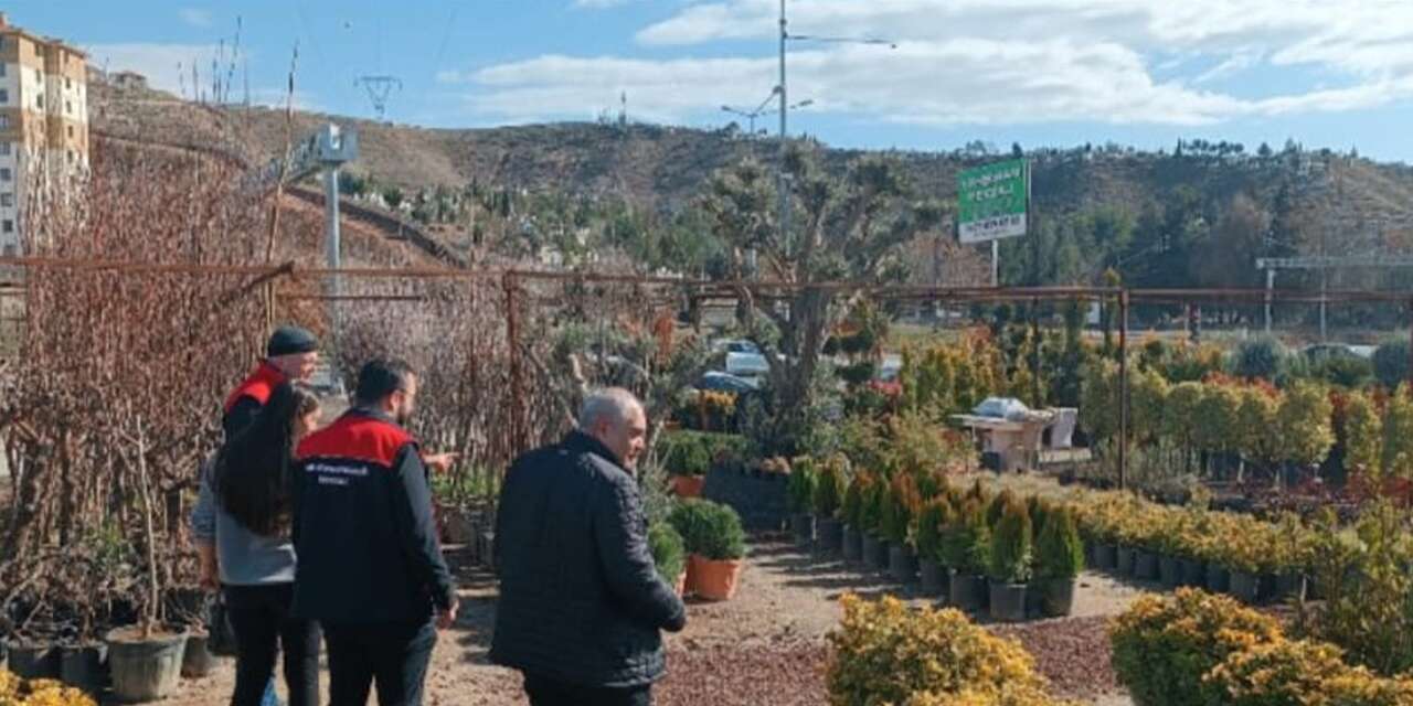 Fidanlık ve satış bayilerine sezon öncesi sıkı denetim