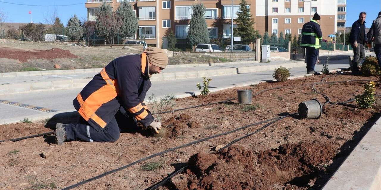 Yahşihan’da Cumhuriyet Caddesi yeşile kavuşuyor