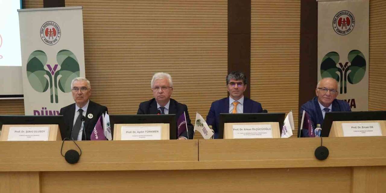 Türkiye’de her 7 kişiden biri böbrek hastası