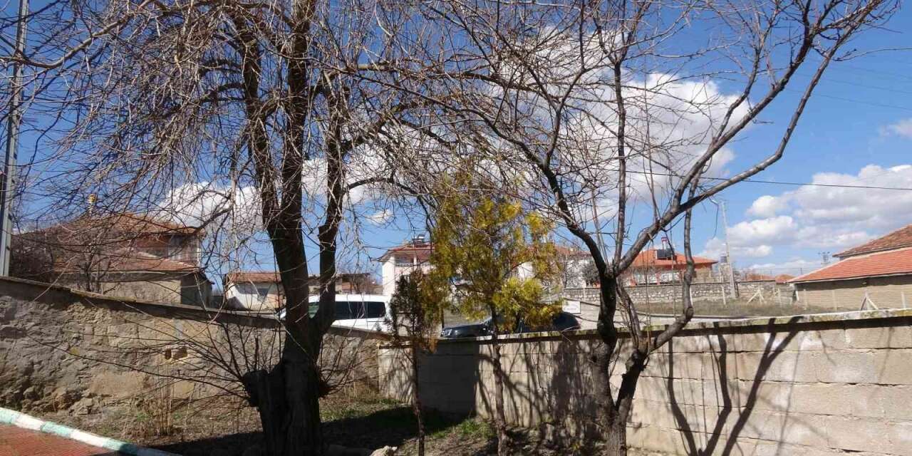 Büyükincirli köyünde incirin yalnızca adı kaldı