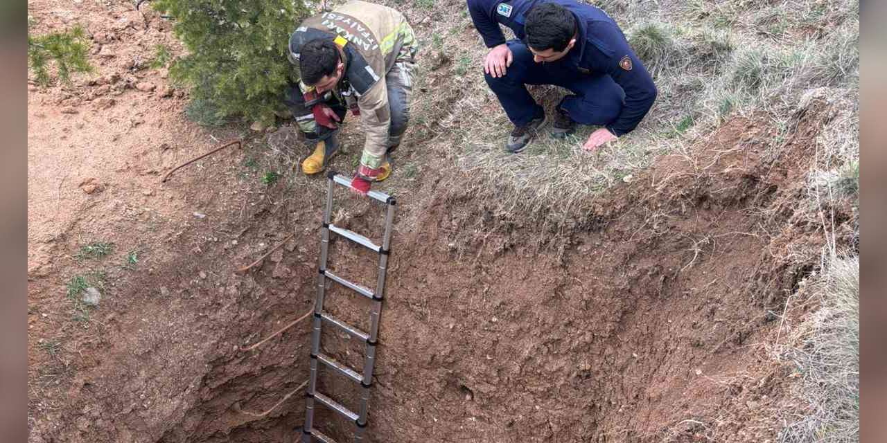 Ankara’da kaçak kazının yapıldığı çukura düşen köpek kurtarıldı