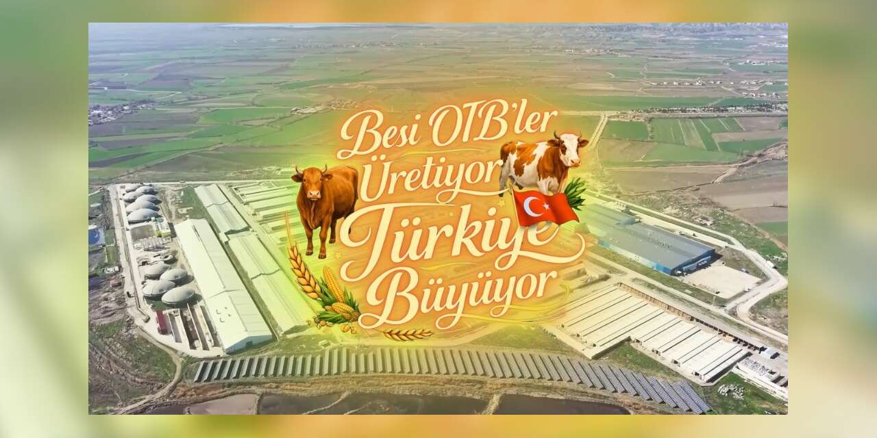 Suluova Besi OTB’de 15 bin 650 büyükbaş kapasite, bin 500 kişiye istihdam