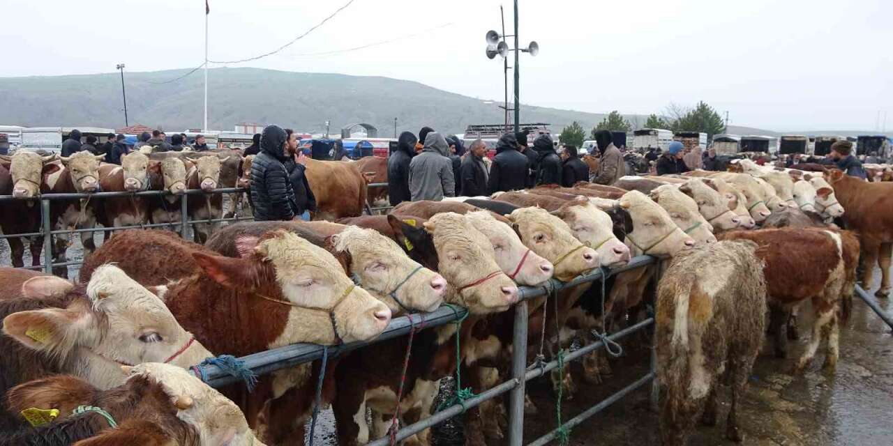 Yağışlı havaya aldırış etmeyen üreticiler ve alıcılar bu pazarda buluşuyor