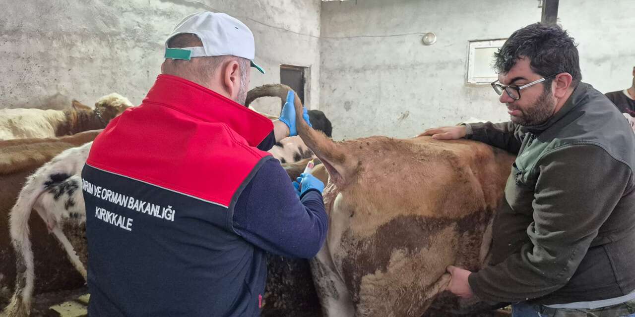 Kırıkkale’de kırmızı alarm verildi: Tek tek aşılanıyor