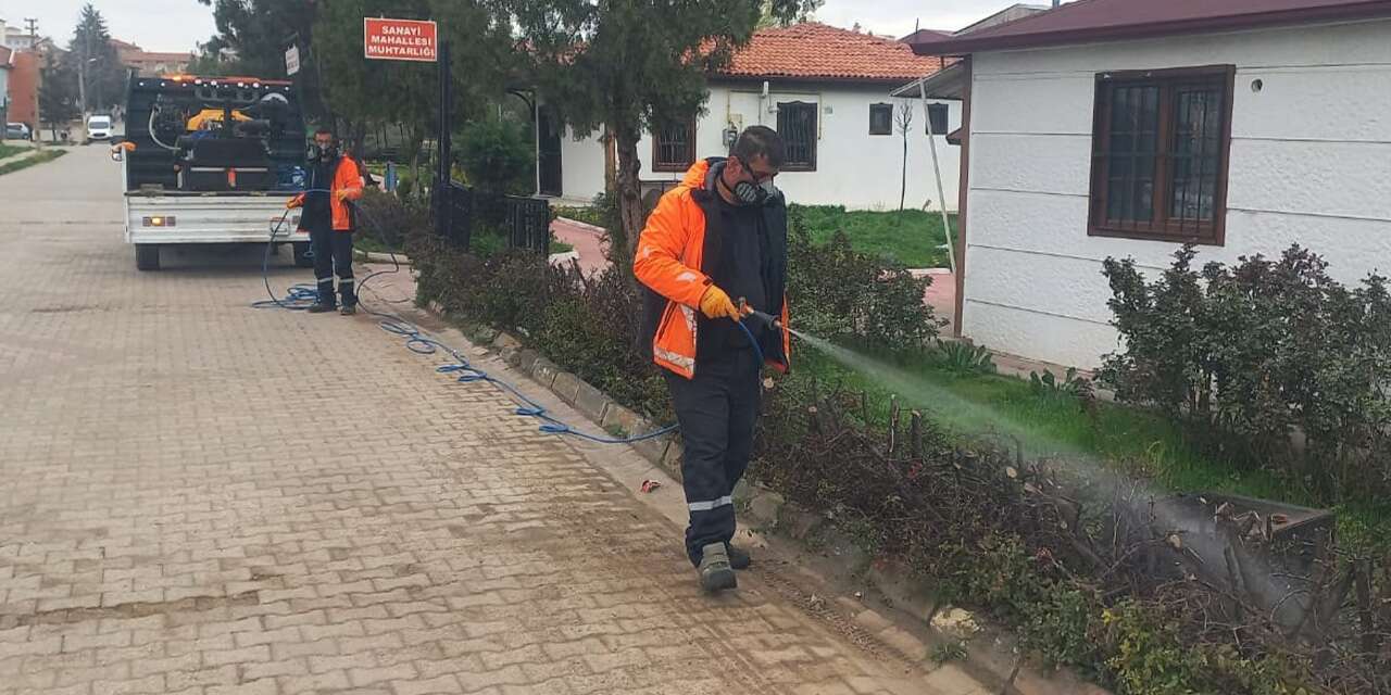 Haşerelere karşı yoğun mücadele başladı
