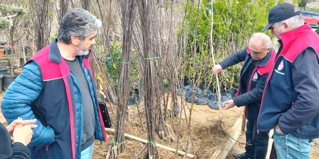 Fidanlık ve satış bayilerine sıkı denetim