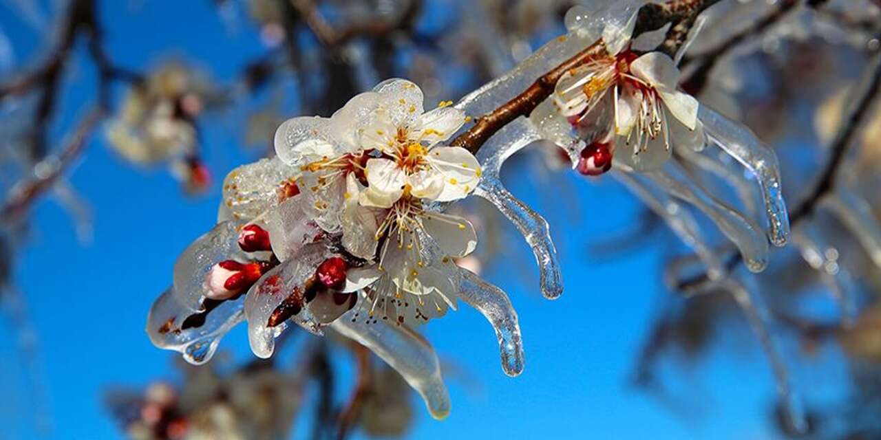 Kırıkkale’de çiftçilere önemli uyarı: Önlemlerinizi alın