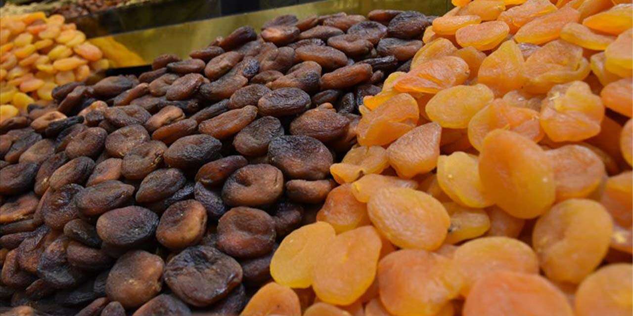 En yüksek yeterlilik kayısı ve zerdalide oldu