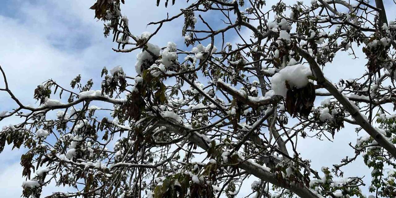 Çorum için zirai don uyarısı