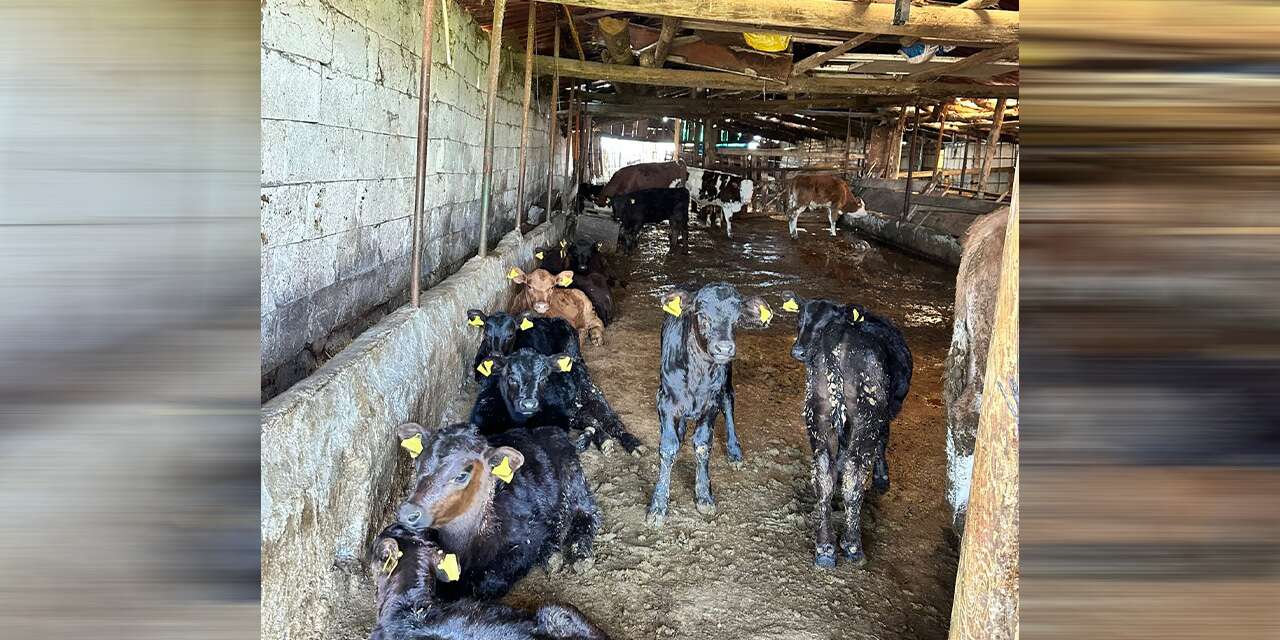 Tarım Projeleri Kırıkkale’de sonuç veriyor