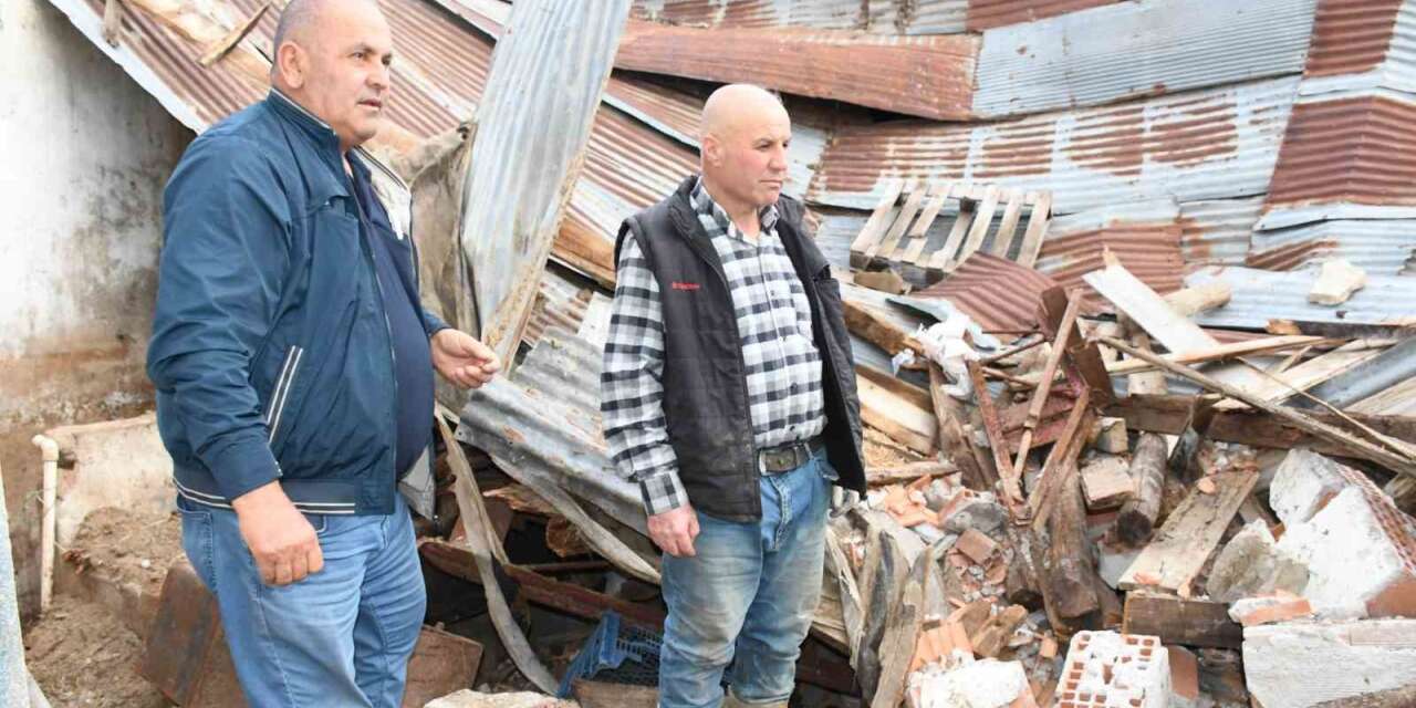 Ahır çöktü, hayvanlar AFAD’ın yardımıyla kurtarıldı