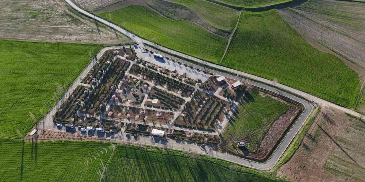 Minik meclis üyeleri fidan dikti