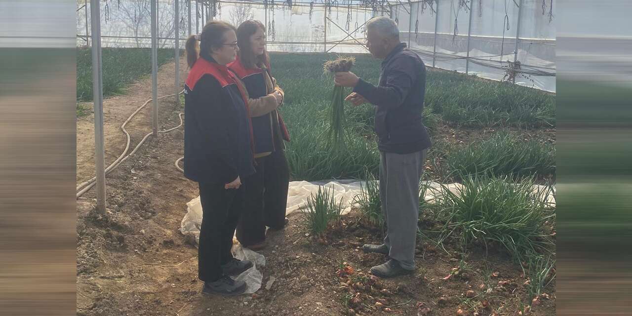 Sera üreticilerine yerinde eğitim ve inceleme