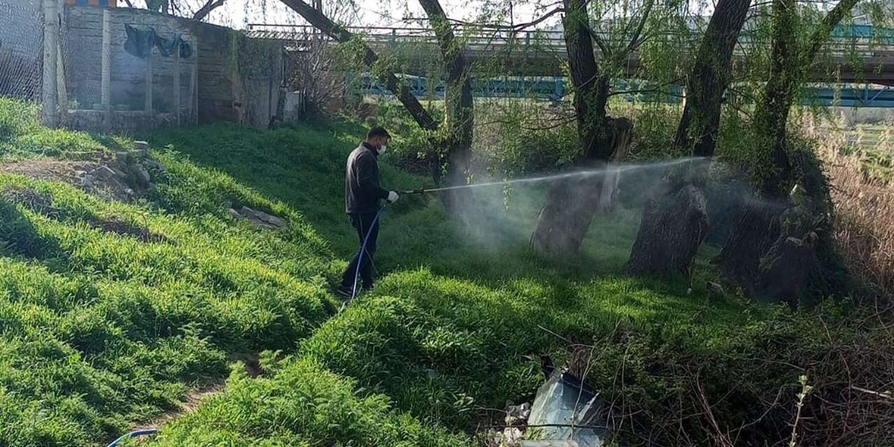 Yahşihan’da sazlık alanlarda ilaçlama çalışmaları sürüyor