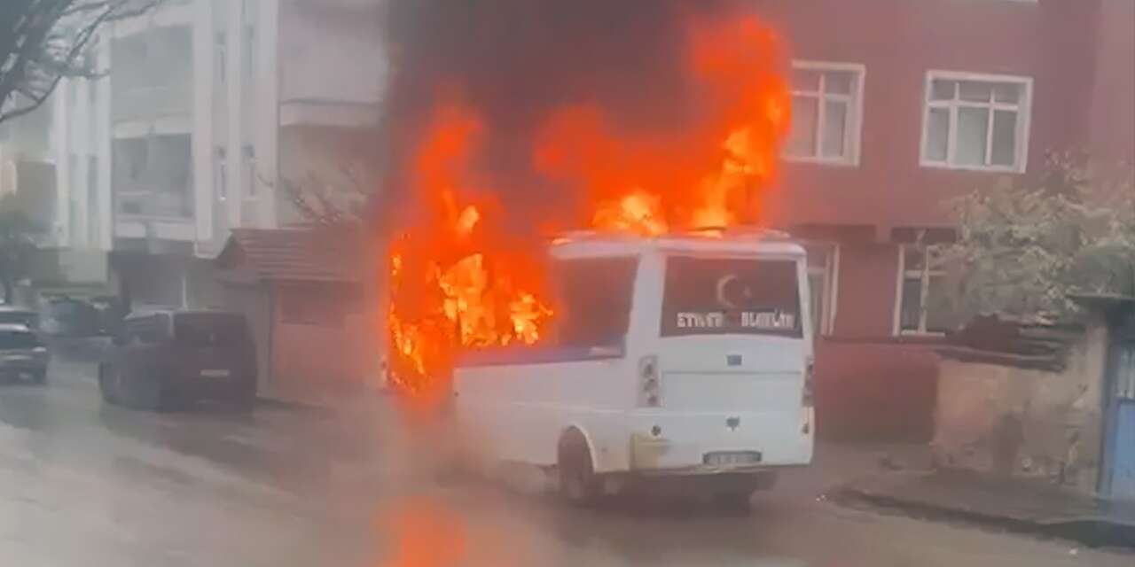 Park halindeki yolcu minibüsü alev topuna döndü