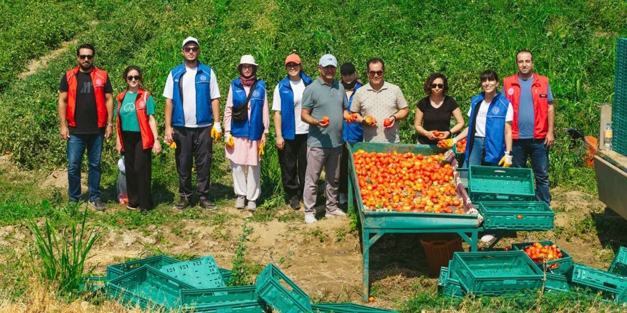 Haydi gençler, Kırıkkale’de hasat vakti