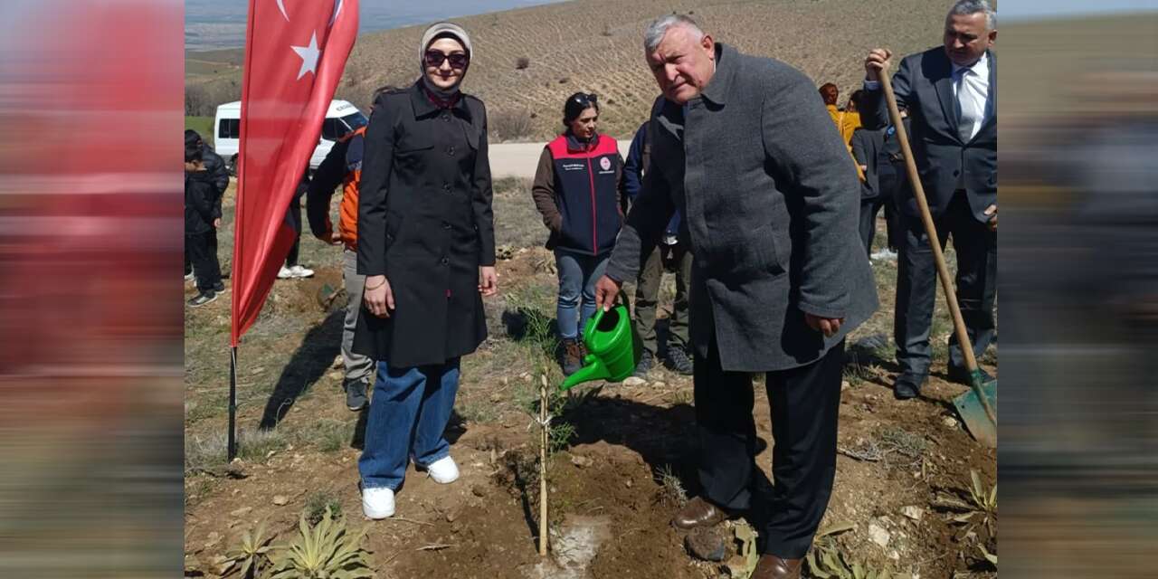 Çelebi’de fidanlar toprakla buluştu