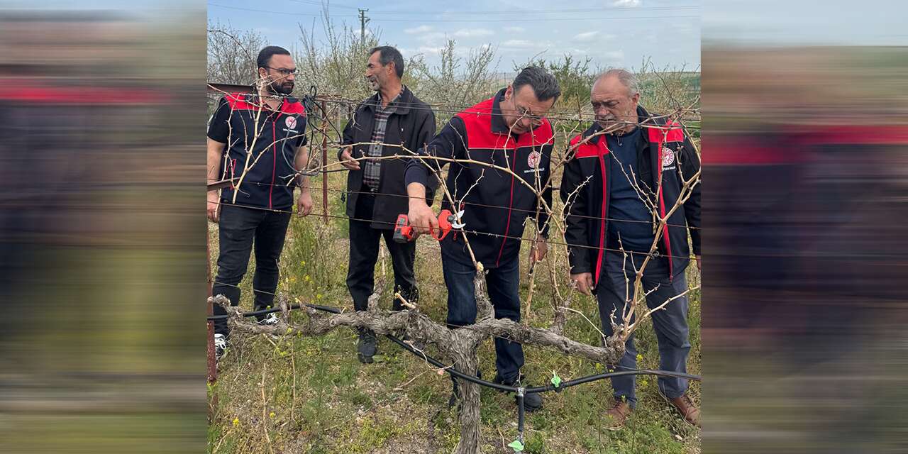Üreticilere uygulamalı budama eğitimi veriliyor