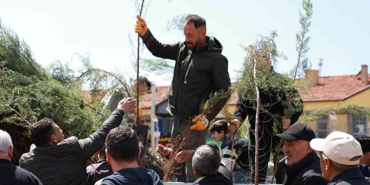 Alaca Belediyesi vatandaşlara 2 bin fidan dağıttı