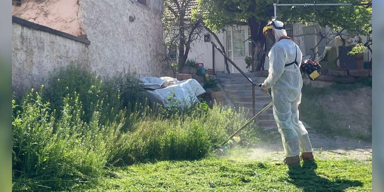 Yahşihan’da yeşil alanlara yoğun bakım