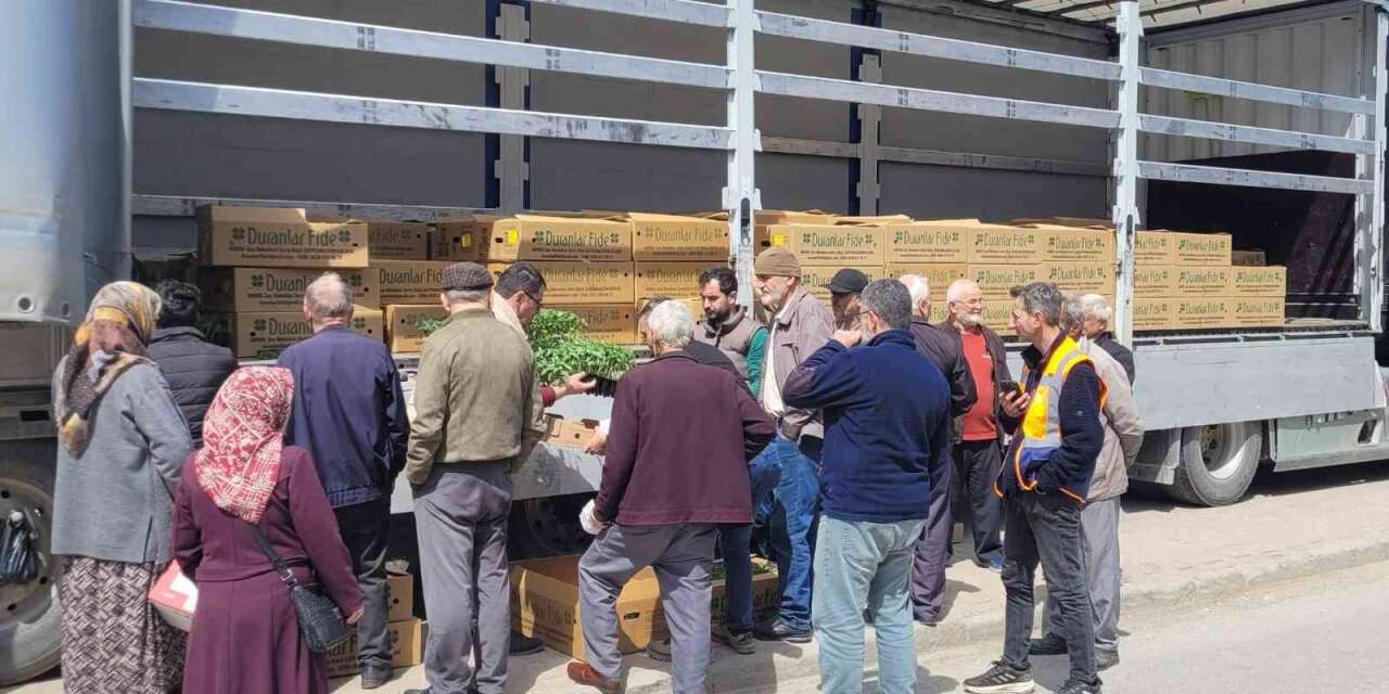 Kastamonu’da çiftçilere 147 bin adet sebze fidesi dağıtıldı