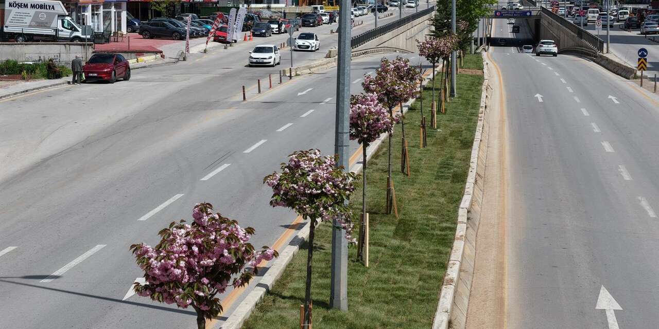 Refüjler çiçeklerle renk cümbüşüne dönüşüyor