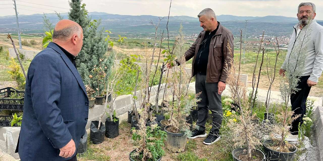 İslami Değerler Külliyesi’nde Ağaçlandırma Seferberliği