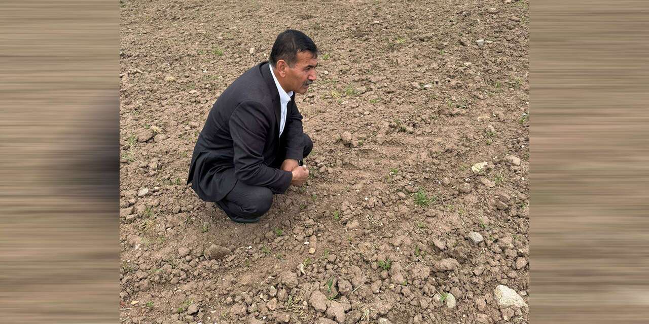 Öztürk’ten TMO’ya Fiyat Çağrısı: “Üretici korunmalıdır”