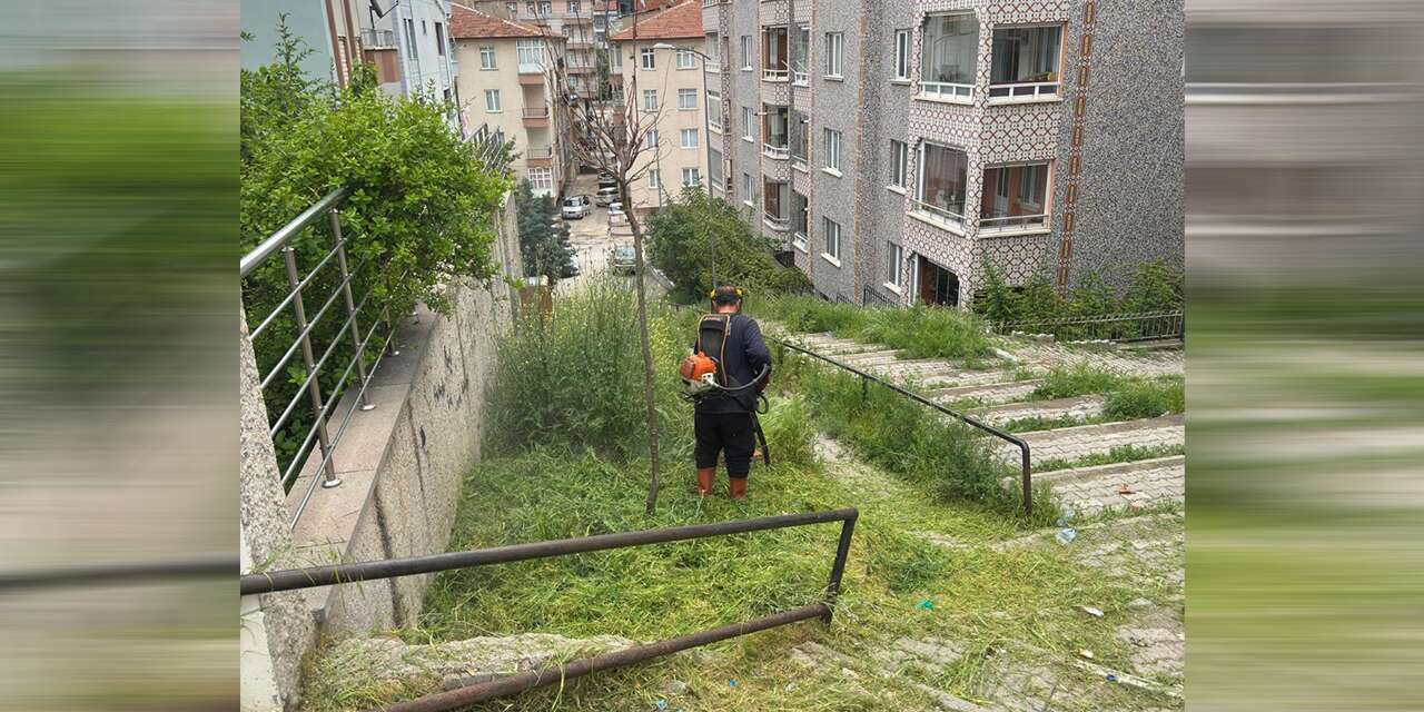Merdivenli yol otlardan temizlendi