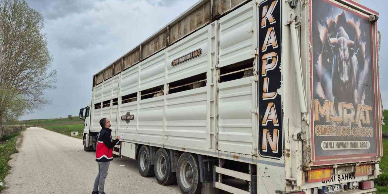 Kurbanlık sevklerine sıkı denetim