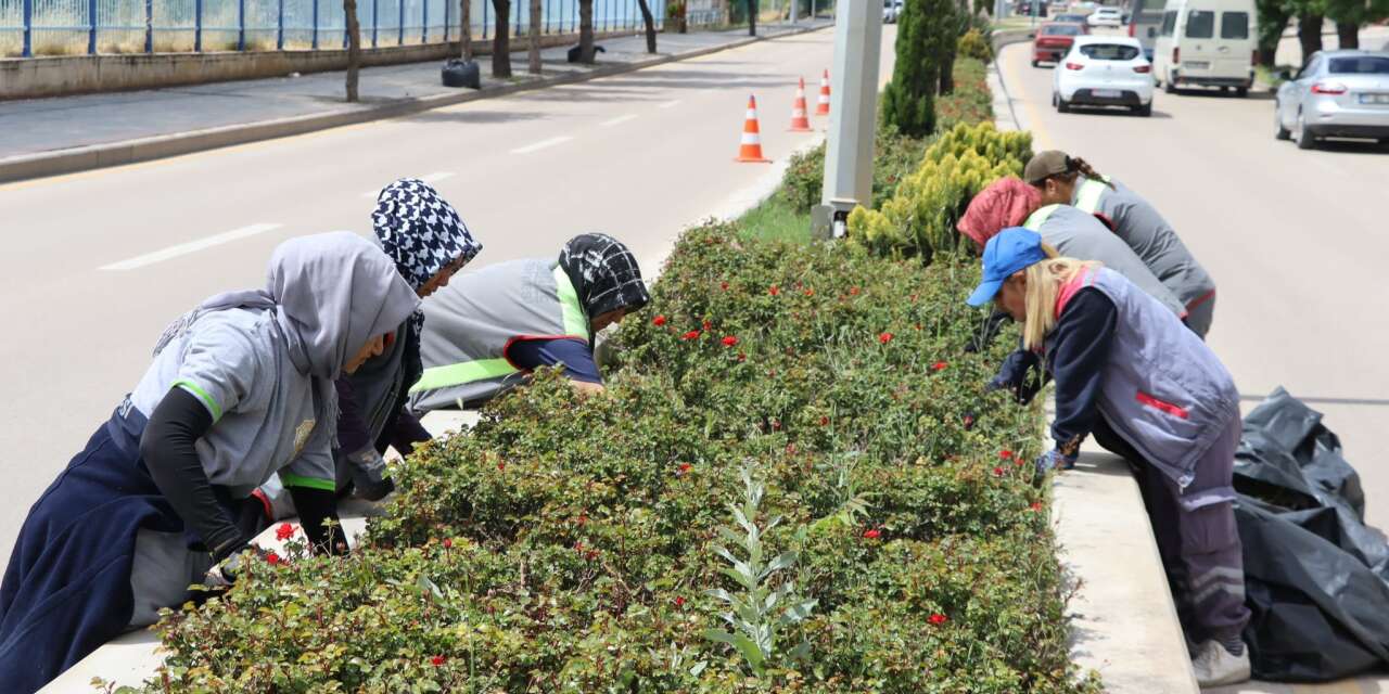 Bayram Öncesi Kırıkkale’de Refüjler Çiçeklerle Donatılıyor