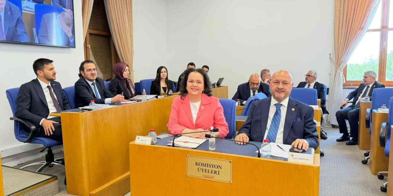 Emniyet, basın ve vergi ile ilgili düzenlemeleri içeren kanun teklifi Komisyon’da