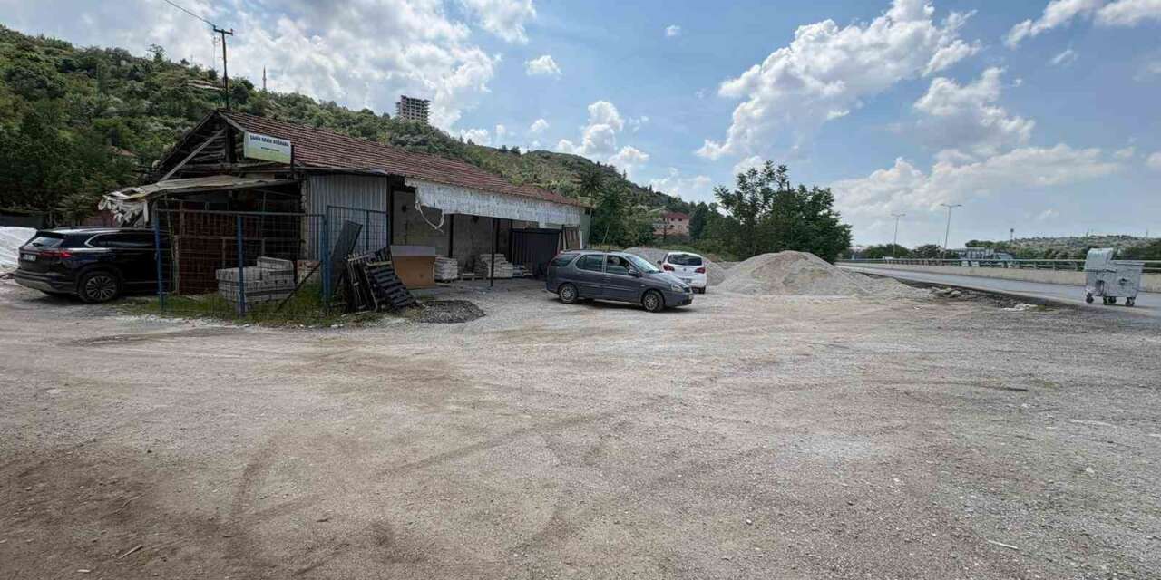 Yaşlı kadın sahipsiz köpeklerin saldırısından son anda kurtuldu