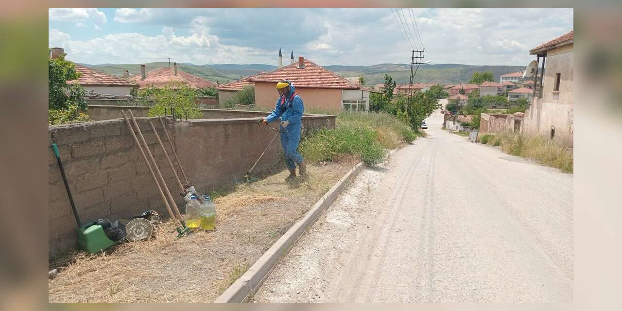Yahşihan’ın her bölgesi otlardan temizleniyor