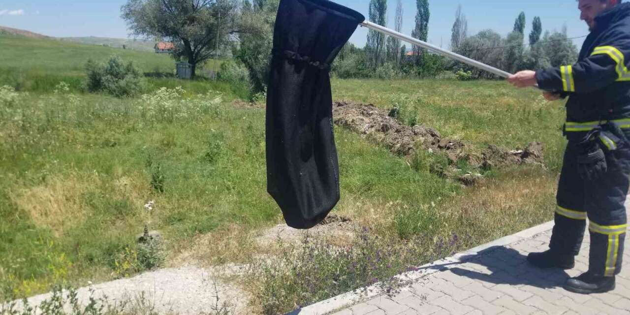 Eve giren yılanı itfaiye yakaladı