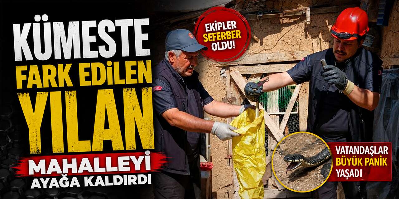 Kümeste fark edilen yılan mahalleyi ayağa kaldırdı