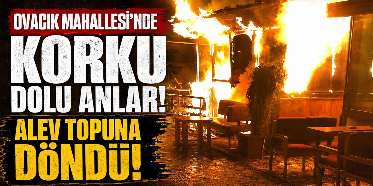 Ovacık Mahallesi’nde korku dolu anlar! Alev topuna döndü