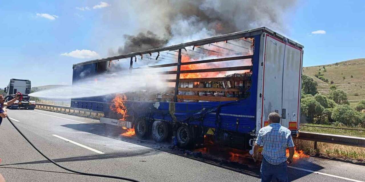 Boya yüklü tır dorsesi alev topuna döndü