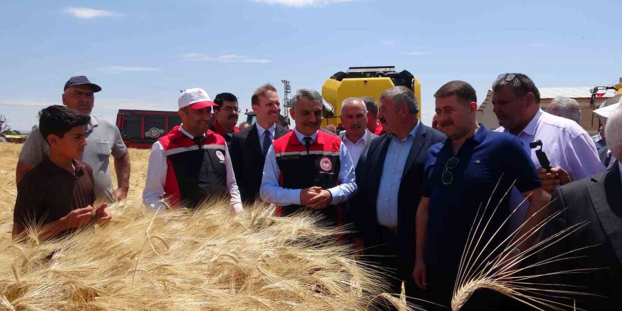Yozgat’ta arpa hasadı başladı