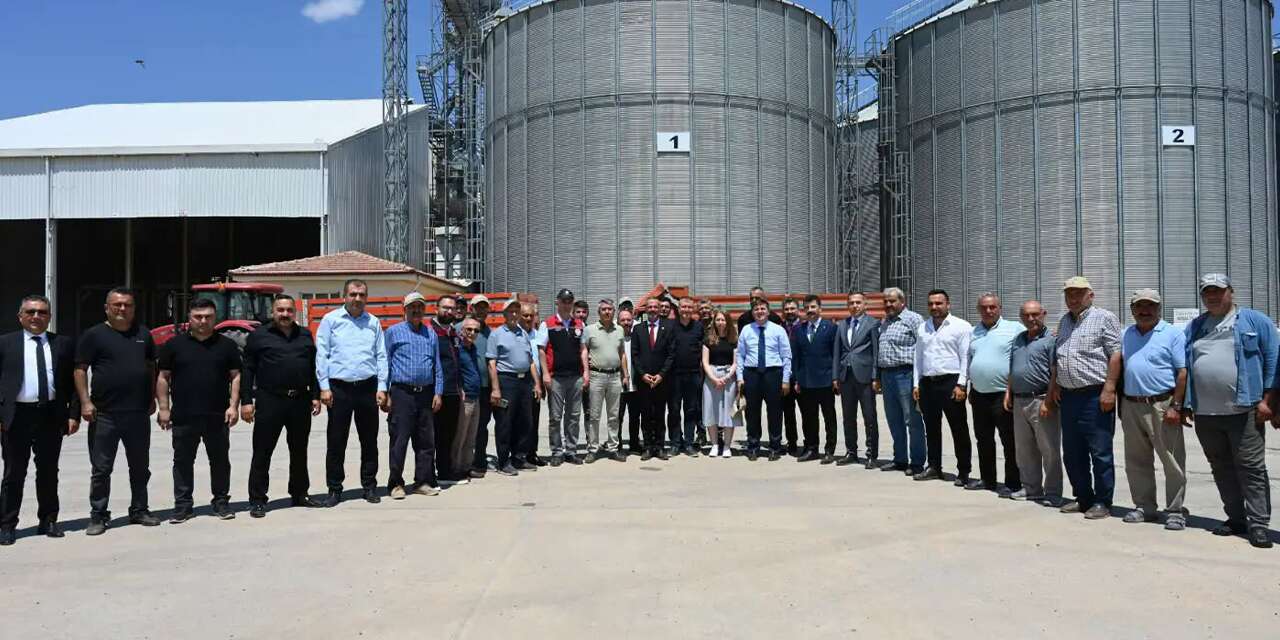 Çerikli’de buğday hasadı heyecanı