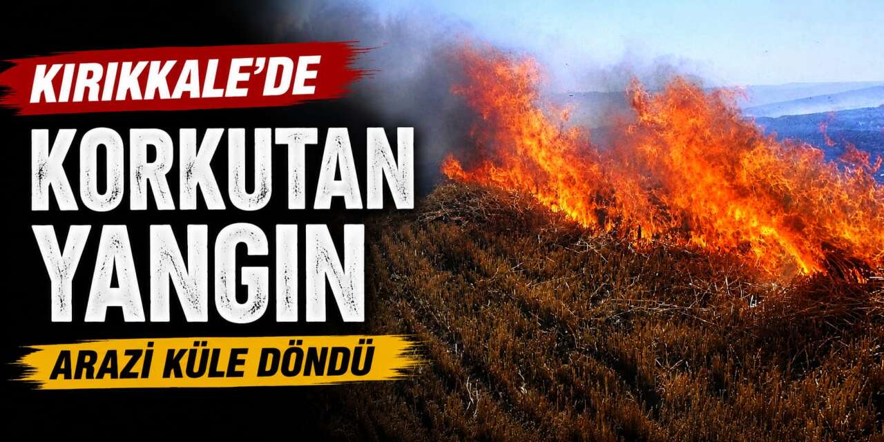 Kırıkkale’de korkutan hasat yangını! 350 dekar alevlere teslim oldu