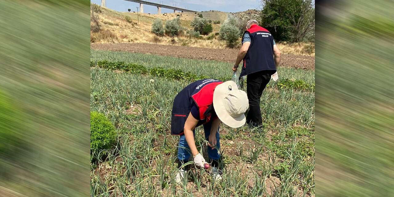 Yahşihan’da sıkı denetim! Tarlalar gözetim altında