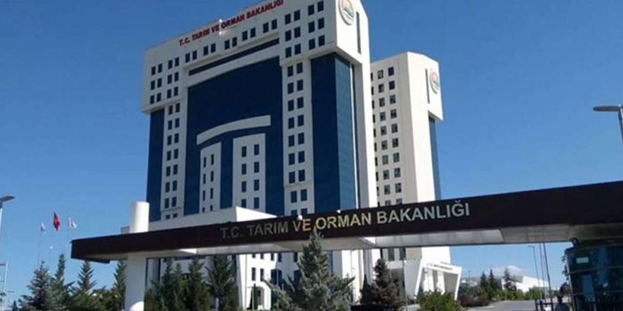 Tarım ve Orman Bakanlığı personel alacak:İşte başvuru şartları