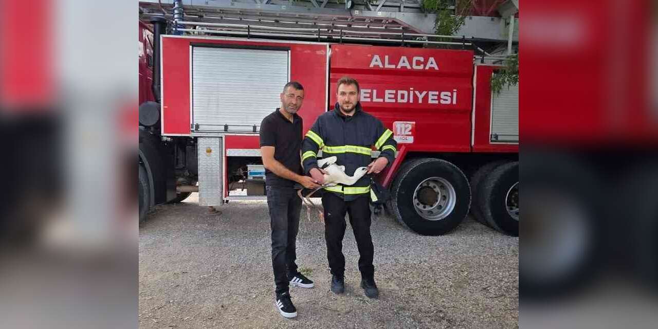 Yuvasında mahsur kalan leyleği itfaiye kurtardı
