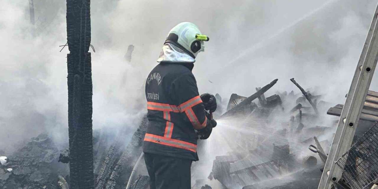 Bahçede çıkan yangın kömürlüğü küle çevirdi