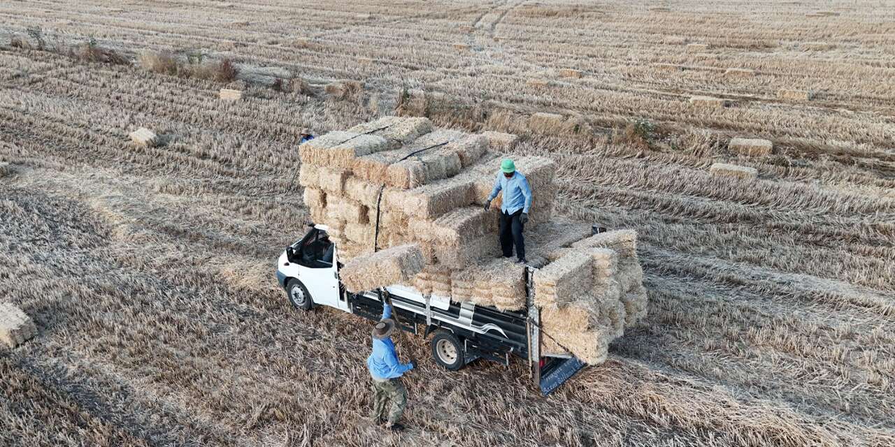 Köylerde hasat sonrası balya mesaisi başladı