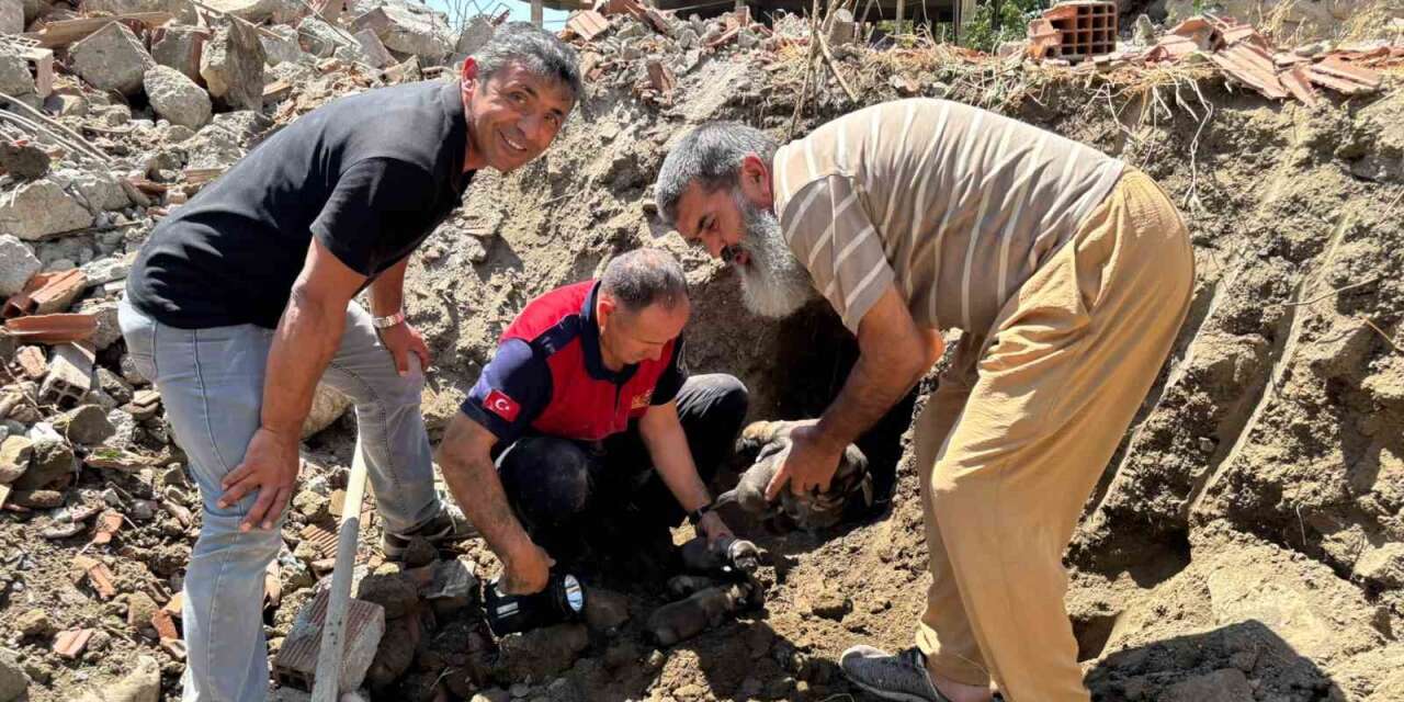 Yıkım halindeki binada mahsur kalan 8 yavru köpeği itfaiye kurtardı