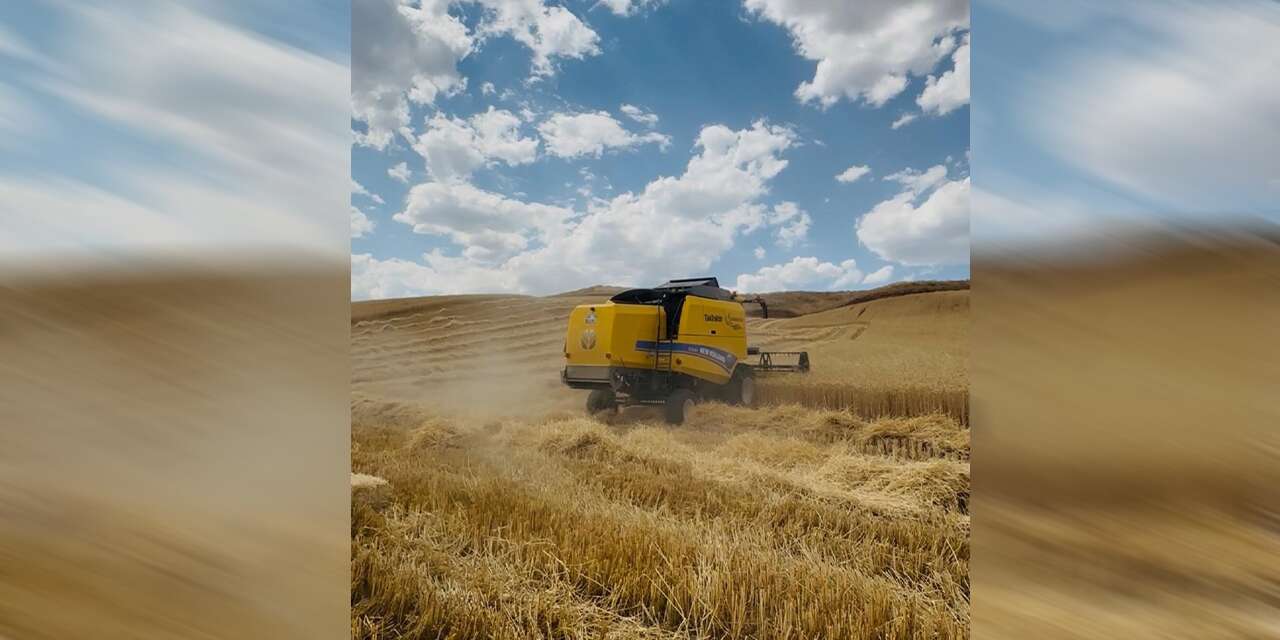 Bahşılı’da hasat sezonu hareketlendi! Ekipler tarlalarda denetim başlattı
