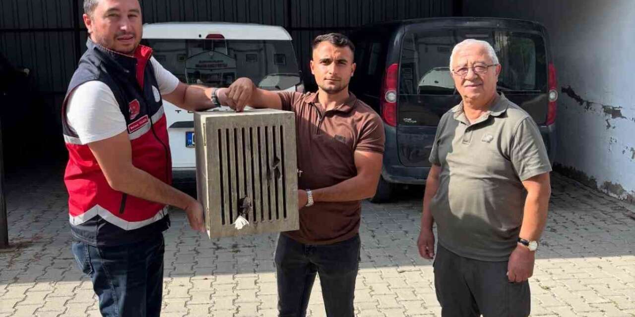Yaralı halde bulunan leylek, koruma altına alındı