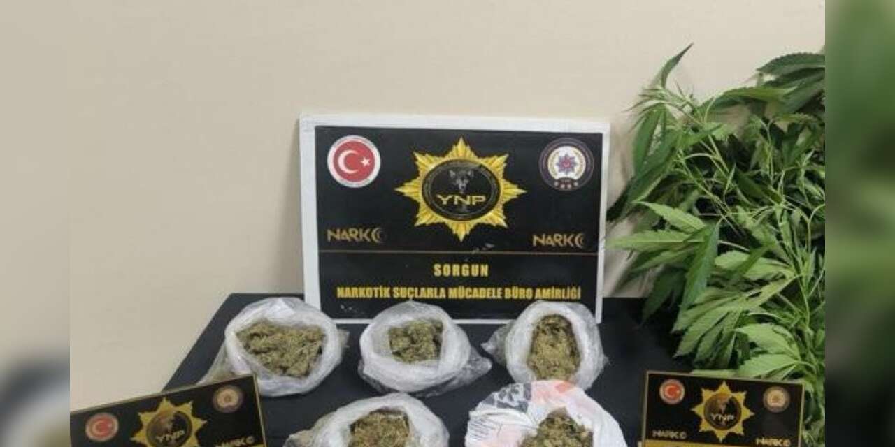 Yozgat’ta 257 gram esrar ve 13 kök Hint keneviri ele geçirildi